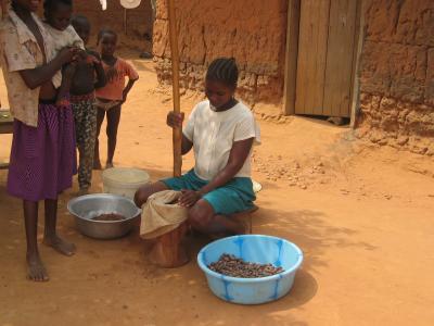 Akosombo Mud Village