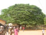 Akosombo Mud Village