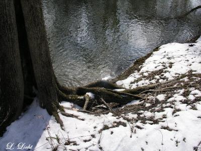 4262.jpg