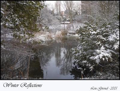 Winter Reflections - Febuary 25-05