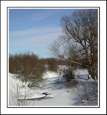 Winter Stream