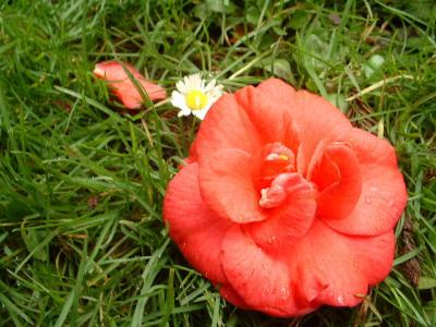 DSCF0007.JPG