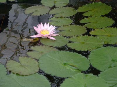 DSCF0069.JPG