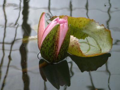 DSCF0076.JPG