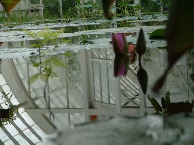 DSCF0082.JPG