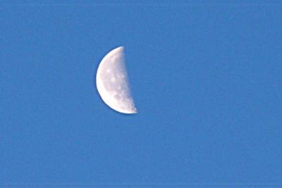 morning moon ~ February 2nd