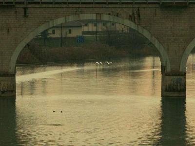 u40/lucasarah/medium/25945240.PeschieradelGarda.jpg