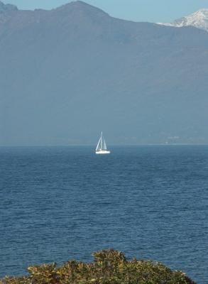 Lone sail