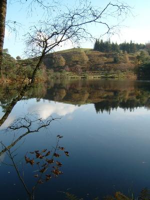 Tarn Hows Lake District.JPG