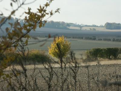 u40/lucasarah/medium/26022947.RoystonCountryside.jpg