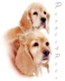 Sadie and Molly