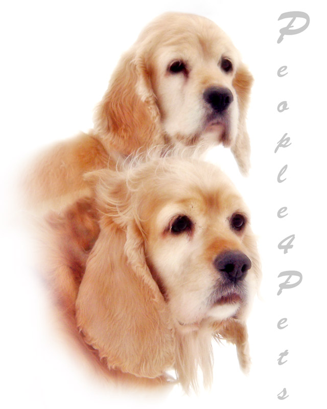 Sadie and Molly