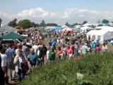 The Crowd - Sellindge Steam Special