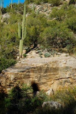 Tucson Jan '05