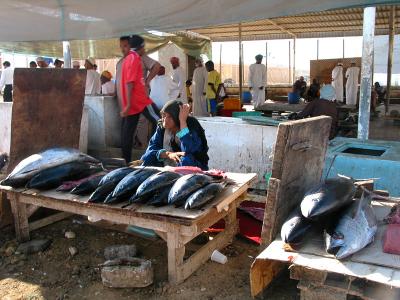 Fish market1