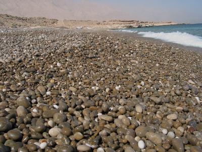 Stony beach