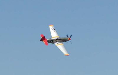 P9080151 web.jpg