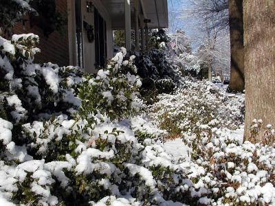 February Snowfall in North Carolina