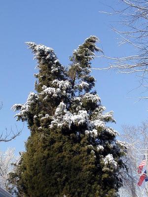 February Snowfall in North Carolina