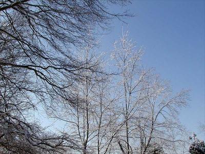 February Snowfall in North Carolina
