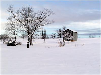 February Snowfall in rural North Carolina