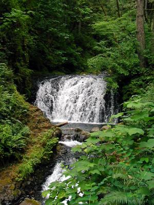 Oregon 2002