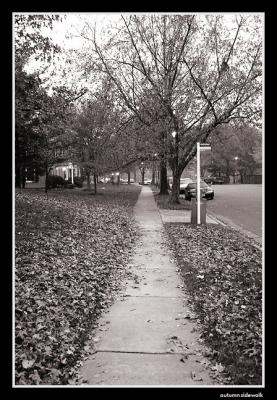 autumn_sidewalk.jpg