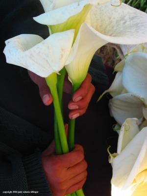 hands with callas