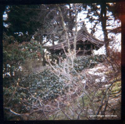 3.11 japanese garden temple