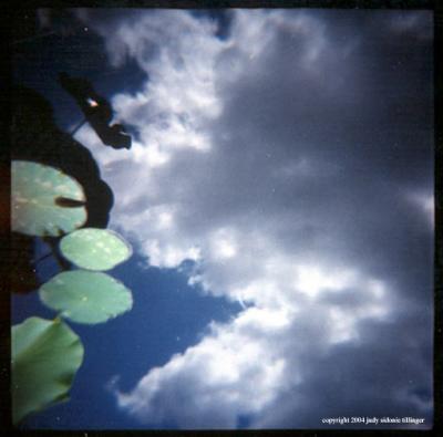7.15 sky lily pond