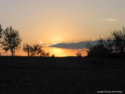 9.12 olive sunset