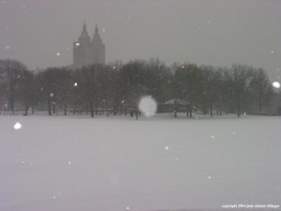 central park 50