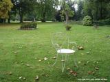 9.19 graphic garden chair 3