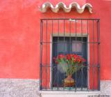 flowers red wall, antigua, guatemala