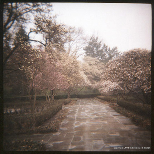 4.8 magnolia path