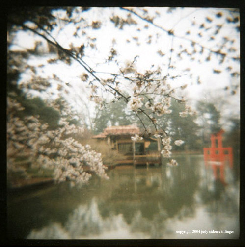 4.8 japanese idyll