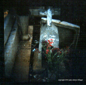 u40/magpiejst/upload/26328202.redflowers.jpg