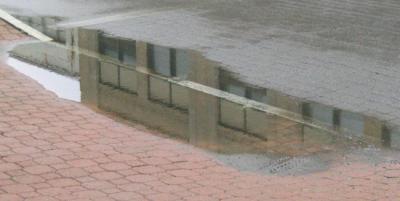 Rainy Day Reflection