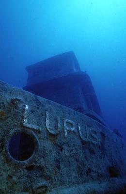 Lupus - Recife