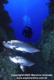 Cueva Azul