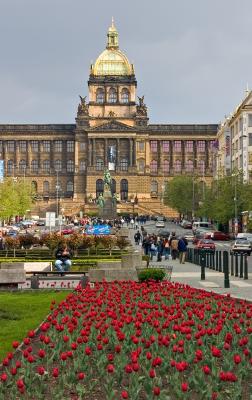 CRW_3069.jpg