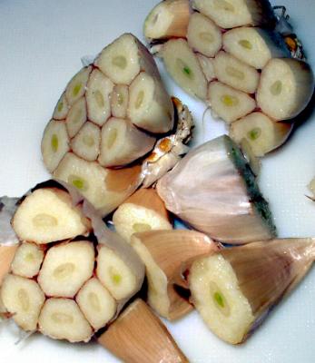 Garlic patterns