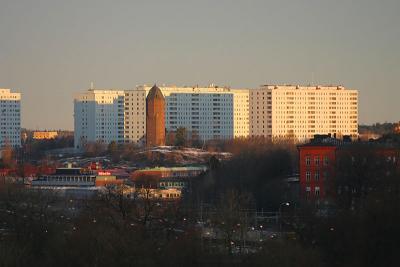 Feb 4: Morning sun on the blocks