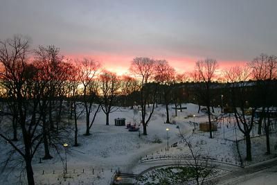 Sunrise in the park