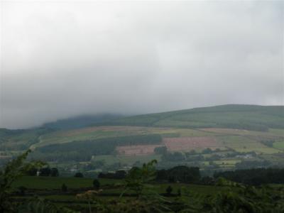 Ireland 053_ The rare countryside view