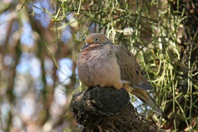 IMG_3889{Q}.jpg