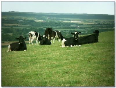 Somewhere near Weymouth
