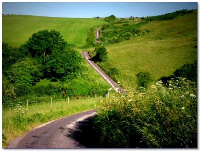 Country road near Weymouth