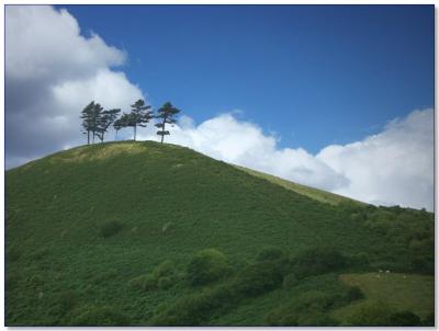 A Hill at Symondsbury
