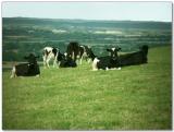 Somewhere near Weymouth